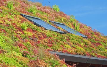 Great Wymondley living roof systems